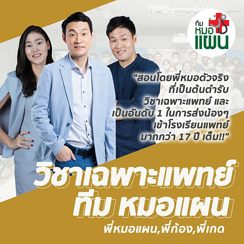 ทีมหมอแผน